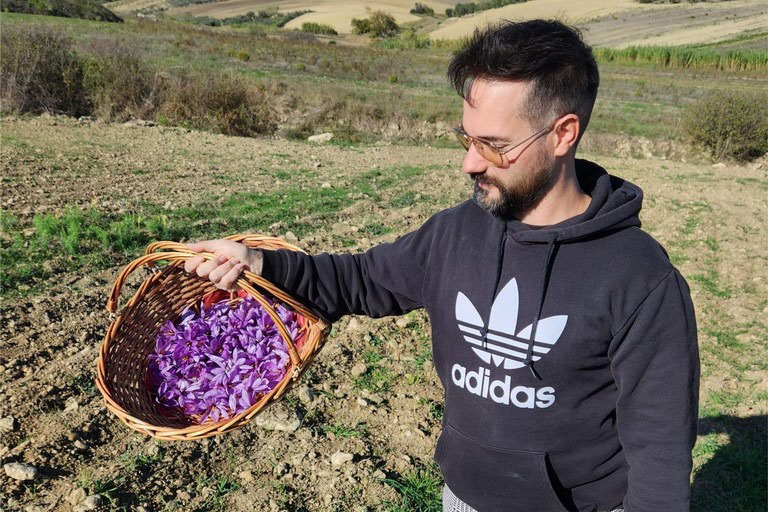 Zafferano di Gravina in Puglia - Azienda agricola Carducci